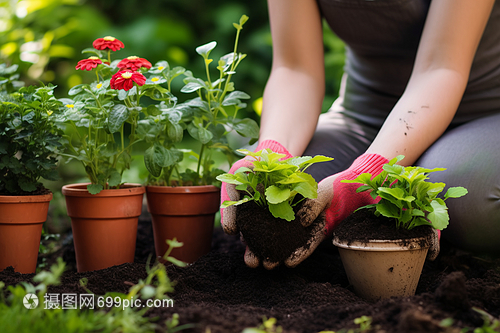 花卉苗木的科學養殖方法與注意事項