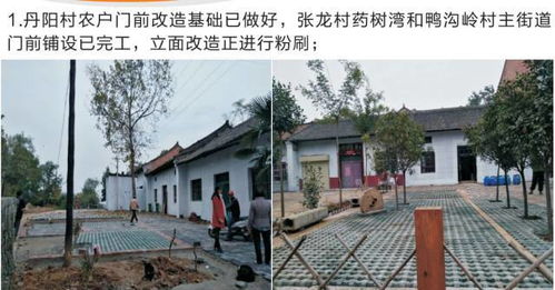 十月份聯(lián)村黨委林業(yè)種殖工作紀實 創(chuàng)新模式與生態(tài)富民雙贏